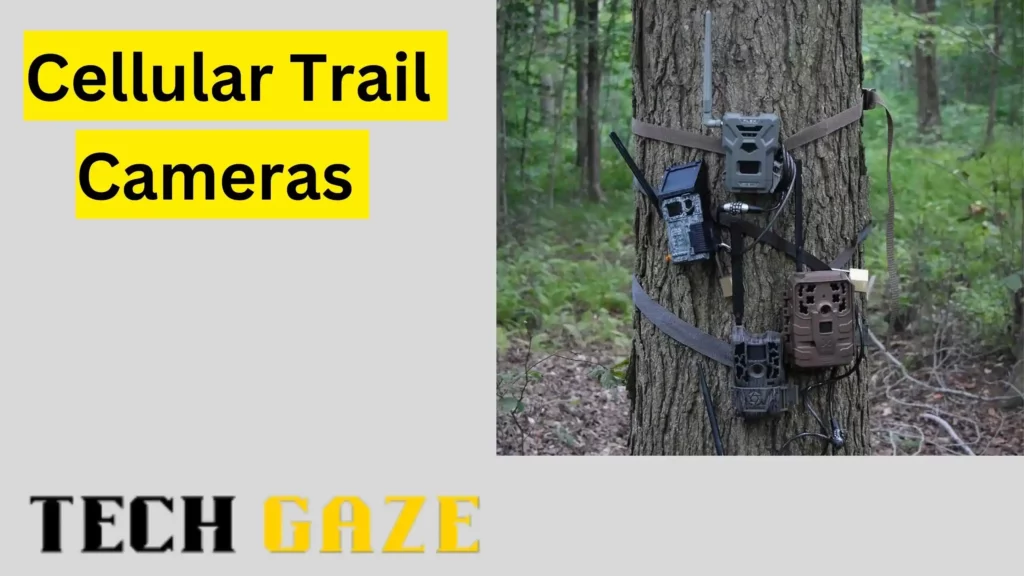 Cellular Trail Cameras