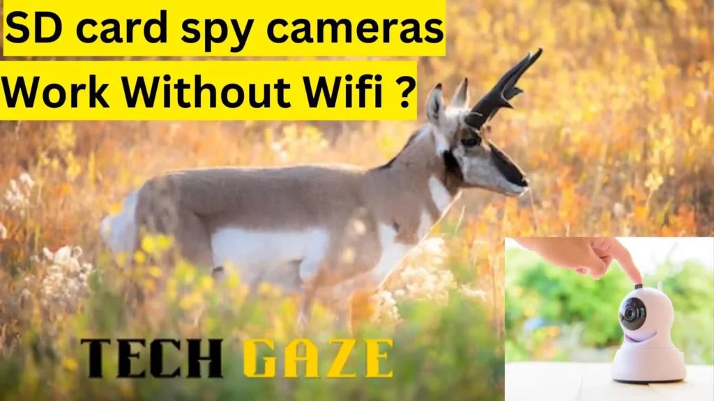 Can Spy Cameras Work Without Wifi?