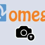 How to enable the camera on Omegle?