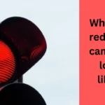 What do red light cameras look like?