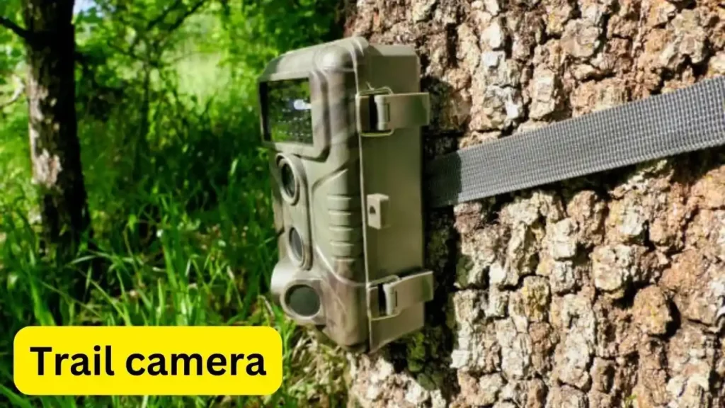 Why Are States Banning Trail Cameras?