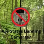 Why Are States Banning Trail Cameras?