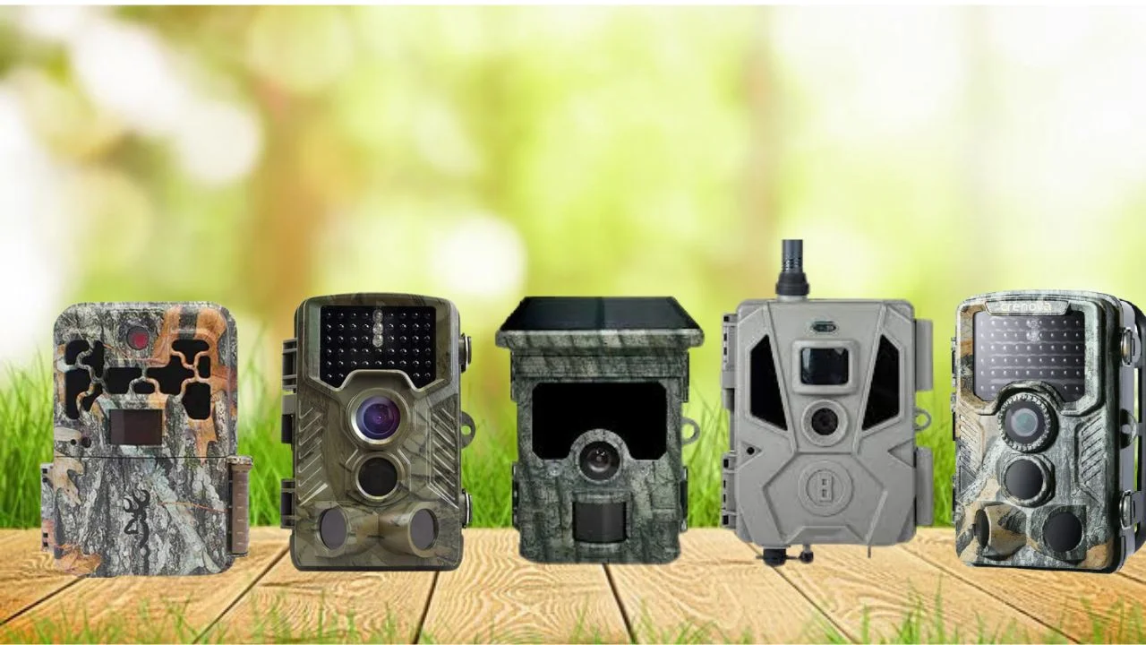 What Is No Glow Trail Camera?