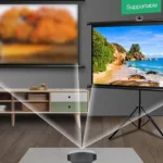 Projector Screen Roll Up